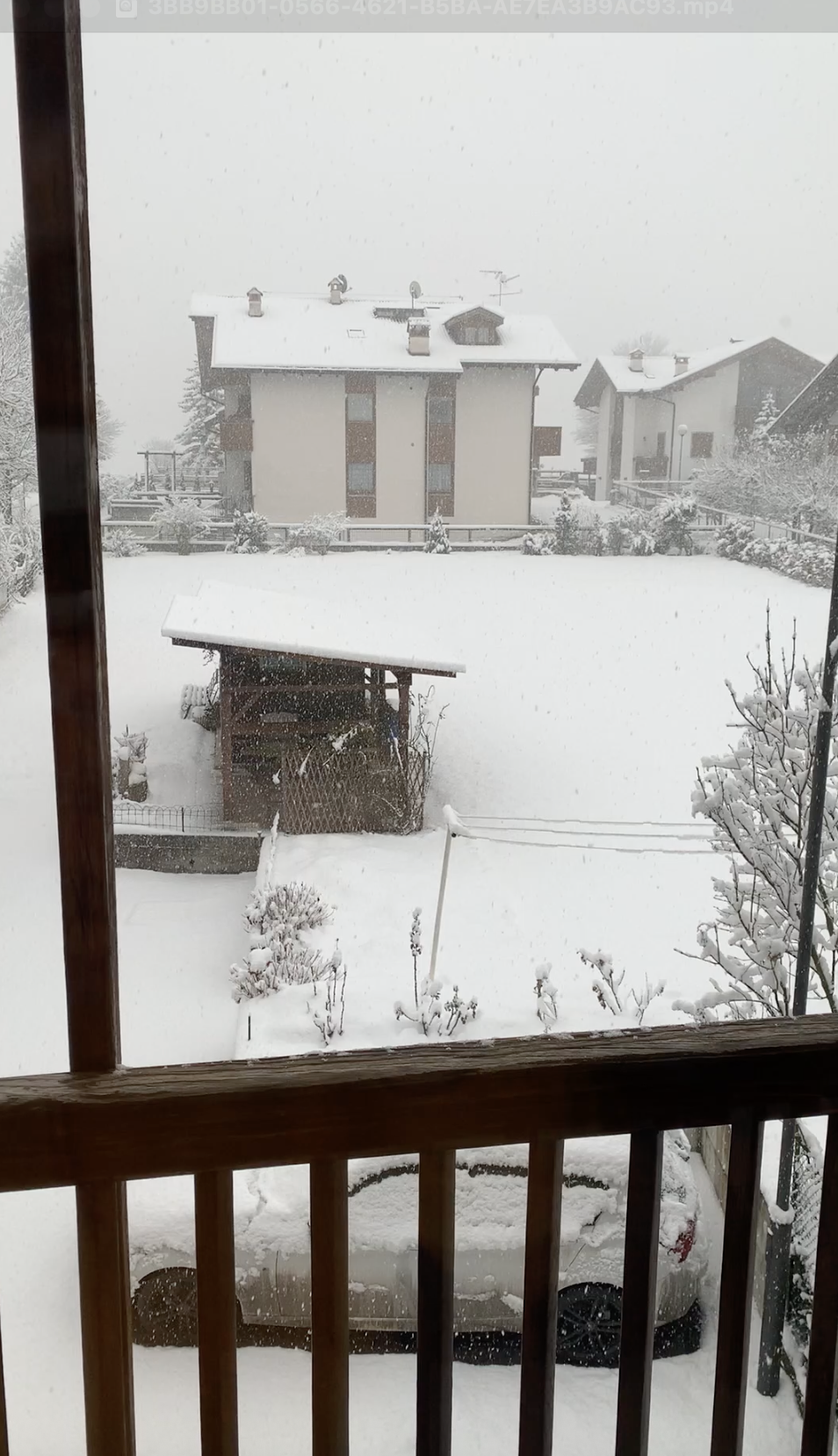 Some houses covered in snow. The garden in the foreground is also snow-covered.